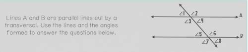 Angle 3 and Angle 6 are examples of which type of angle pair?