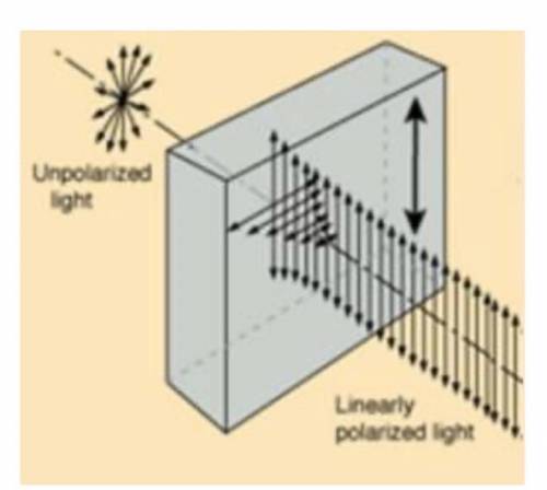 The polarization of light is a phenomena that is best explained by A) the particle model of electrom