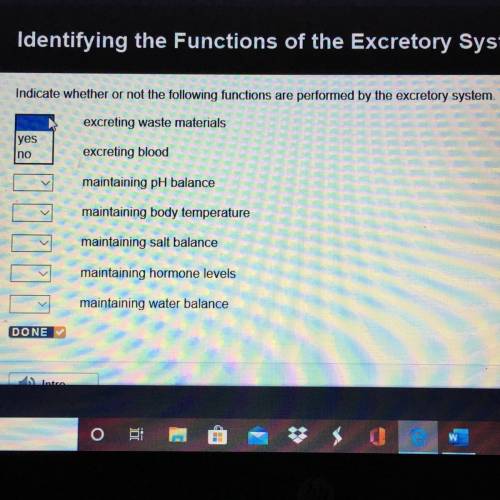 Indicate whether or not the following functions are performed by the excretory system. ____excreting