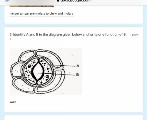 Help URGENT U HAVE EXAMMMMM