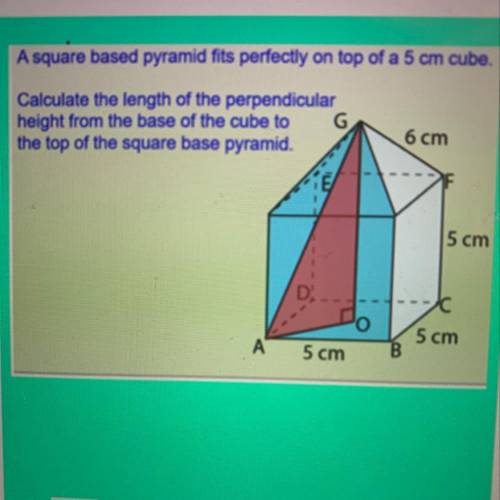 Guys i really need help with this question! pls help me :)