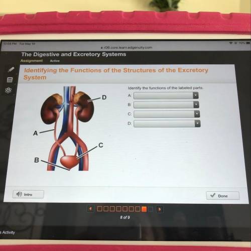 Identify the functions of the labeled parts.