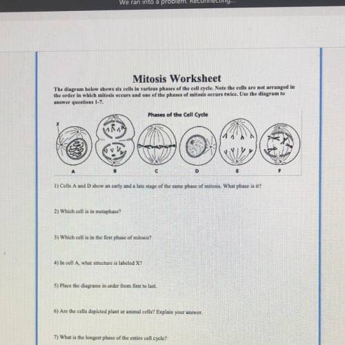 PLS HELP MITOSIS WORKSHEET 7QUESTIONS