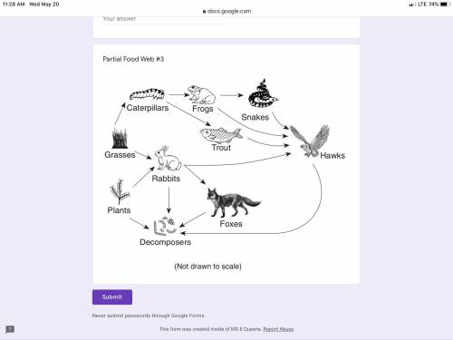 Which one of these organisms are producers. Someone plz help