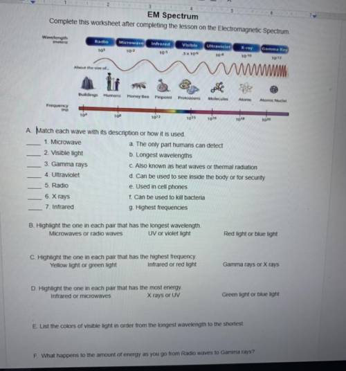 Please help me with letters A-F on this worksheet. i don’t get anything on it.