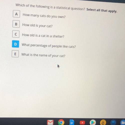 Which of the following is a statistical question? Select all that apply A. How many cats do you own?