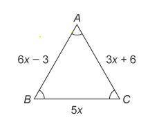 PLZ HELP!! 50 POINTS! What is the value of x? Enter your answer in the box. x =