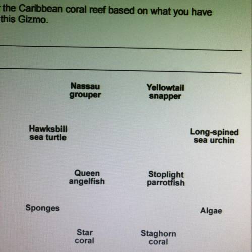 Create a food web by drawing arrows to show which organisms are eaten by others