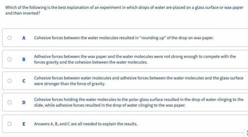 AGAIN! PLEASE HELP ME ASAP FOR BIO IMPORTANT  WILL MARK THE BRAINLIEST!  SEE ATTACHED  THERE ARE TW