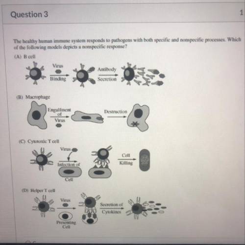 The healthy human immune system responds to pathogens with both specific and nonspecific processes.