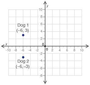 Points (−6, 3) and (−6, −3) on the coordinate grid below show the positions of two dogs at a park: