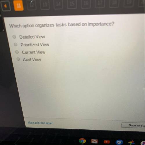 Which option organizes tasks based on importance? Detailed View Prioritized View Current View Alert