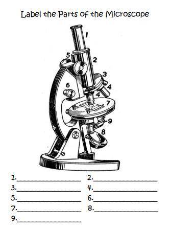 (~˘▾˘)~ Label the parts of a microscope ~(˘▾˘~)
