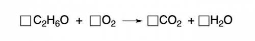 I NEED HELP PLEASE, THANKS! :) Combustion reactions take place between a fuel and oxygen and produc