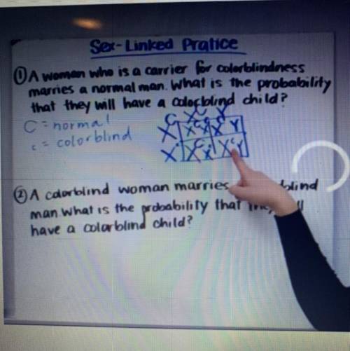 Practice question # 1 What is the probability that they will have a colorblind child? 75 % 25 % 50%