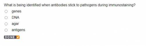 What is being identified when antibodies stick to pathogens during immunostaining?genesDNAagarantig