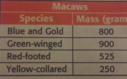 Which macaw has a mass closest to 1 kilogram?

PLS HELP BEST ANSWER GETS BRAINLESST AND FOLLOW!!