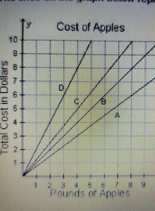 The lines on the graph below represent the cost of apples at four different stores.

At which stor
