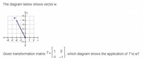 The diagram below shows vector v.