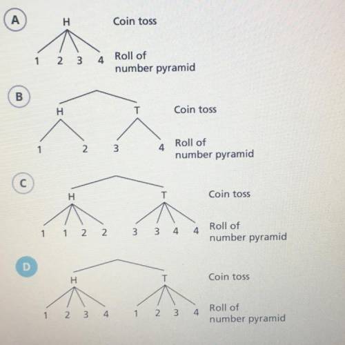 Which tree diagram shows all of the possible outcomes for tossing a coin and rolling a fair number