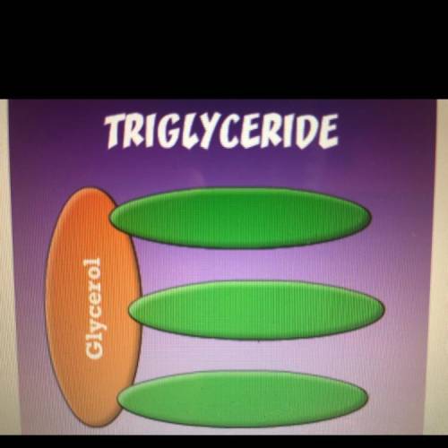In the triglyceride molecule shown below what are the three molecules

attached to the glycerol mo