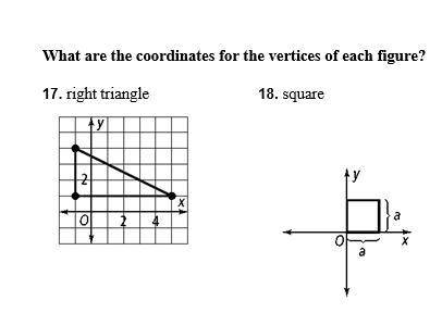 Can someone help me with these two questions?