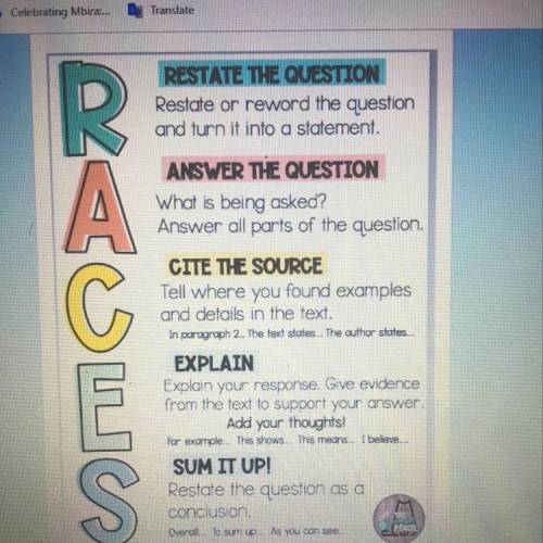 Using the R.A.C.E.S rubric, respond to the following questions from lines 1-17 ;Why are details abo