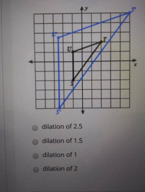 State the scale factor of the dilation about the origin of the black image to the blue image