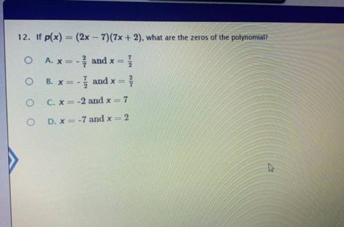 What are the zeros of the polynomial ?