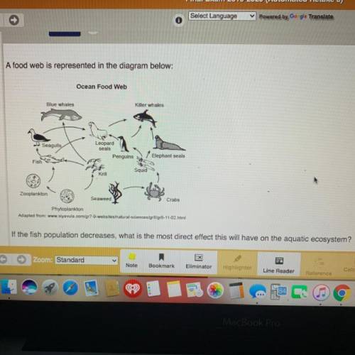 1. The leopard seals will all die from lack of food.

2. The leopard seals will all die from lack