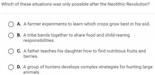 Which of these situations was only possible after the Neolithic Revolution?
