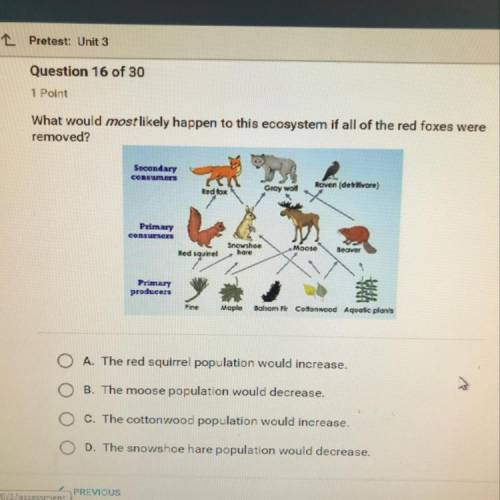 What would most likely happen to this ecosystem if all of the red foxes were

removed?
Secondary
c