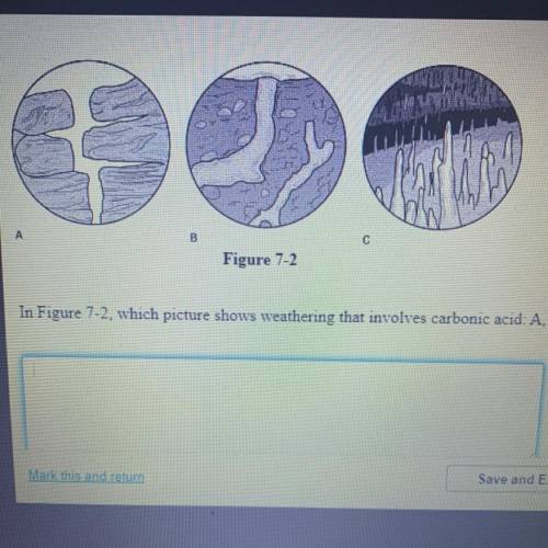 In Figure 7-2, which picture shows weathering that involves carbonic acid: A, B, or C?