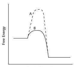 Consider the energy diagram below.

xn.
A graph with reaction progression on the horizontal axis a