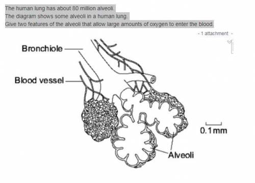 Pls help I will give brainlist