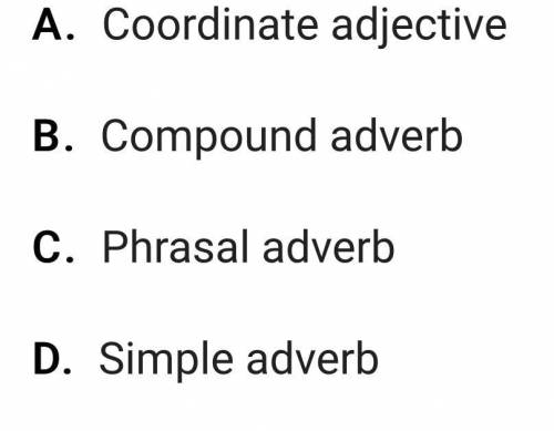 Please help Identify the type of adverb in the following sentence: He never spoke a word.