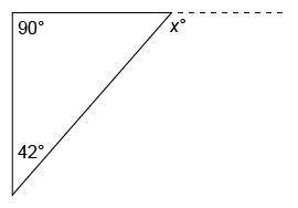 Determine the value of x in the triangle shown. answers: 48° 42° 228° 132°