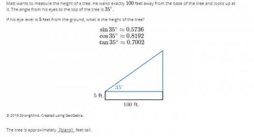 The tree is approximate _[blank]_ feet tall.