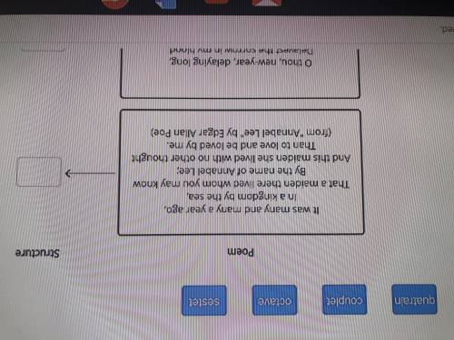 HELP IMMEDIATELY!! I’m not sure how to ask this but we get 4 stanza structure terms and 4 excerpts