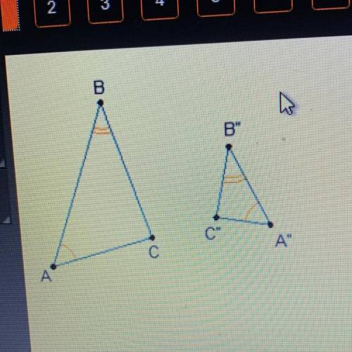 Which transformations could have occurred to map AABC

to AABC?
O a rotation and a dilation
O a