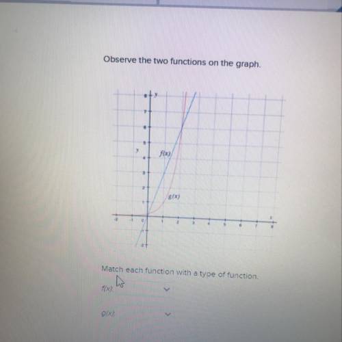 Observe the two functions on the graph.

Match each function with a type of function.
f(x)
g(x)