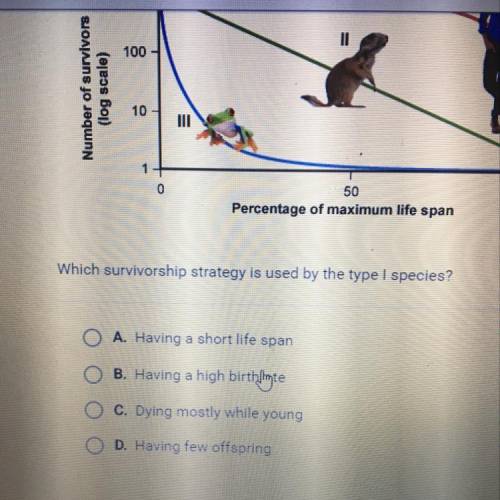 Which survivorship strategy is used by the type I species?