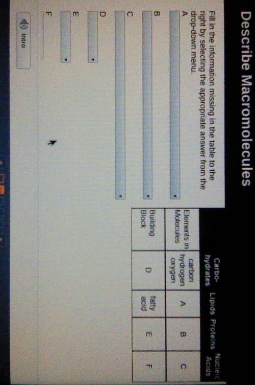 Carbo

hydratesNucleicLipids ProteinsAcidsFill in the information missing in the table to theright