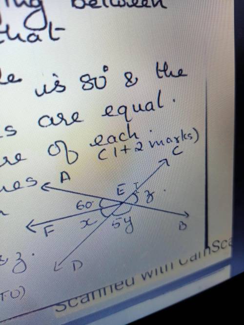 Pls Help Noww I will mark you as bRAINLIEST in the given figure two straight lines ab and cd