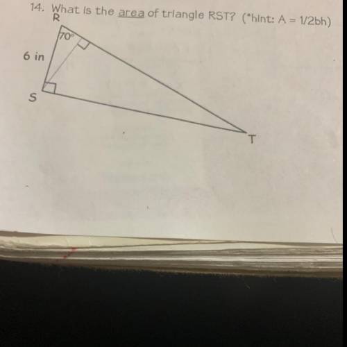 Whats the area of the triangle?