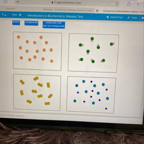 Introduction to Biochemistry: Mastery Test

Drag each label to the correct location on the models.