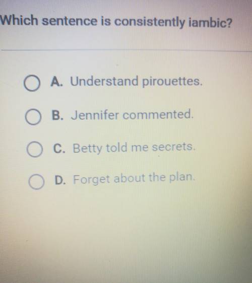 Which sentence is consistently iambic?