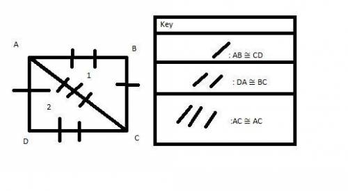 In quadrilateral ABCD, the diagonals intersect at point T. Jasmine has used the Alternate Interior A