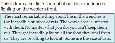 How does the soldier describe the rat infestation in the trenches? Check all that apply.

a. The r