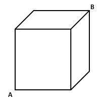 An ant needs to travel along a 20cm × 20cm cube to get from point A to point B. What is the shortes